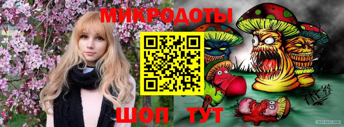 Псилоцибиновые грибы GOLDEN TEACHER Вятские Поляны