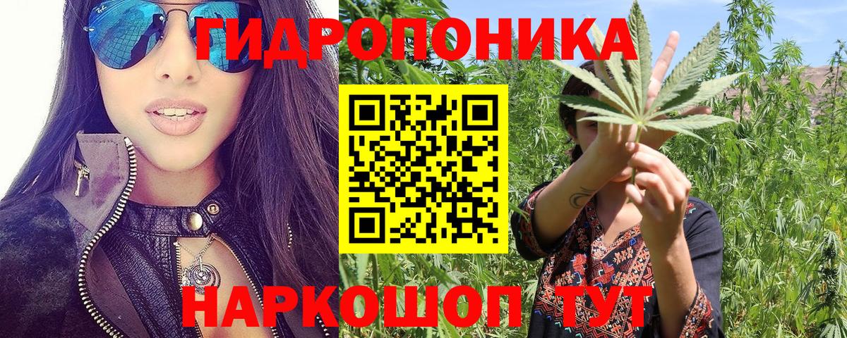 Шишки марихуана семена Вятские Поляны